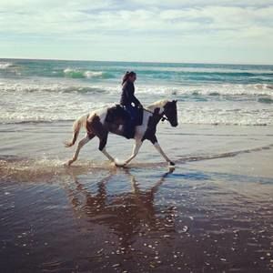 Meet your Posher, Marissa